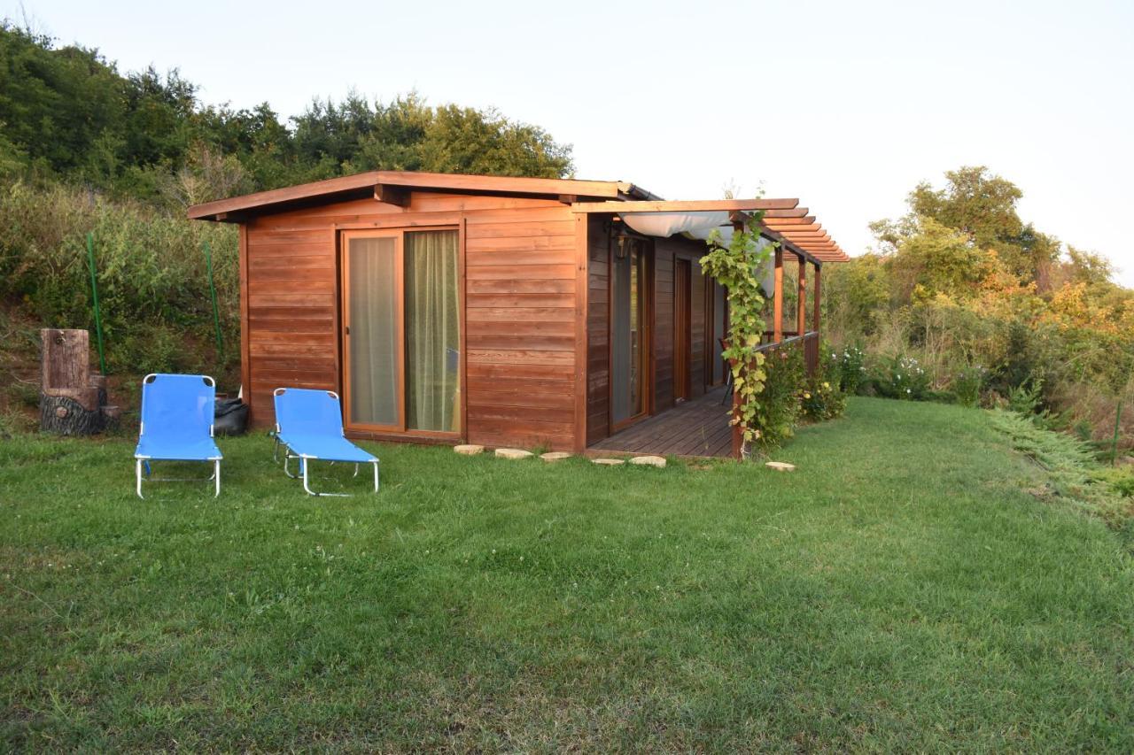 Villa Viridi Sozopol Luaran gambar